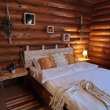 Cabana Rustic Balea Cîrţişoara Exterior foto
