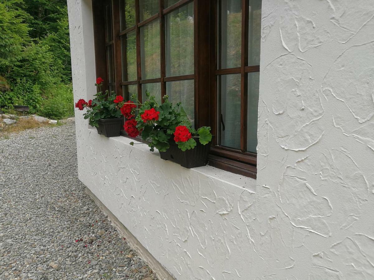 Cabana Rustic Balea Cîrţişoara Exterior foto