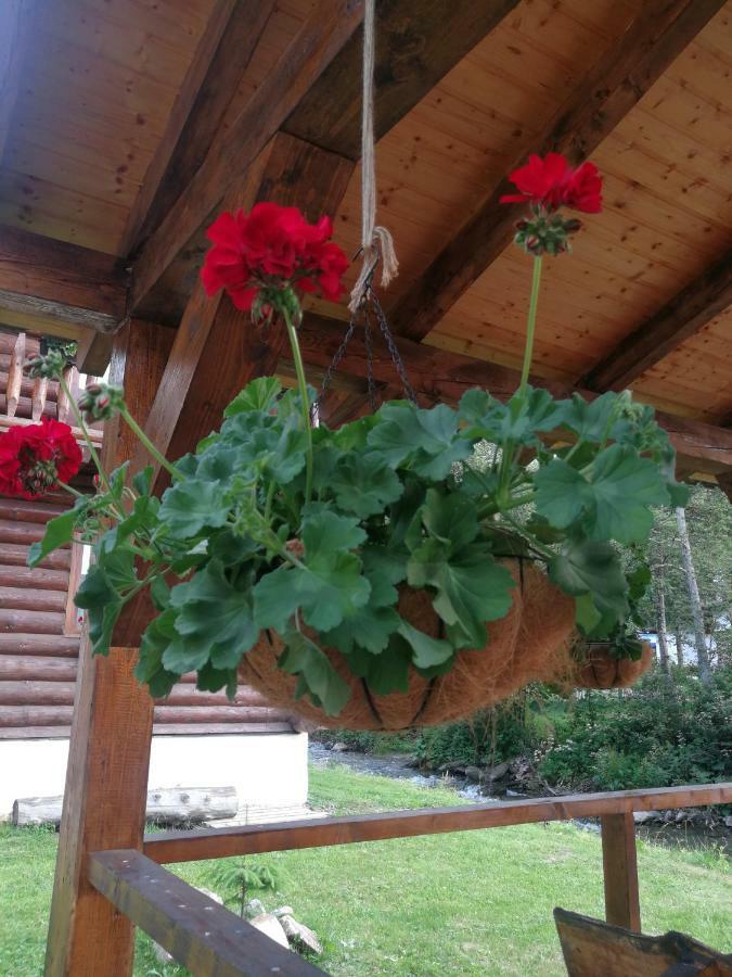 Cabana Rustic Balea Cîrţişoara Exterior foto