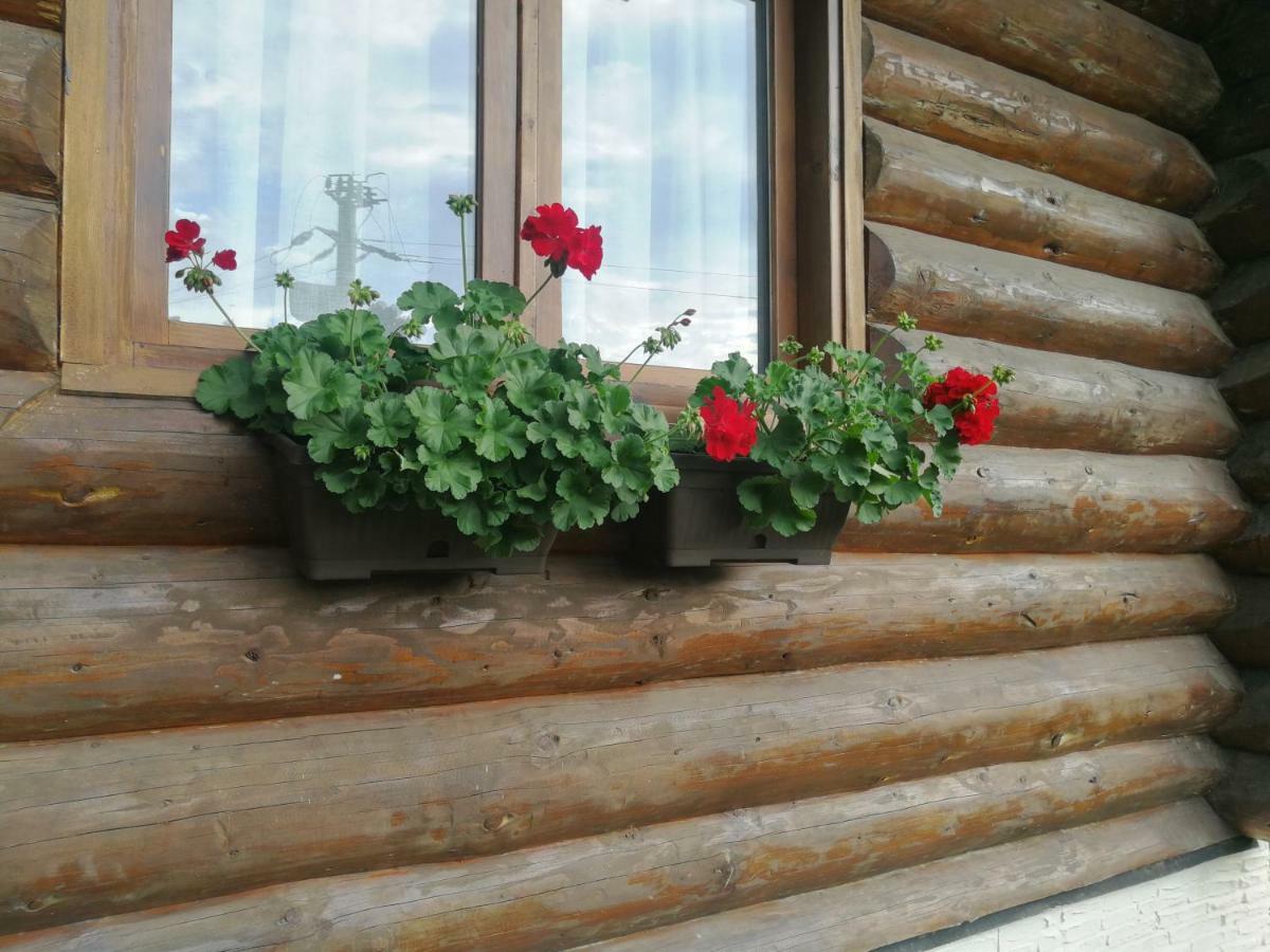 Cabana Rustic Balea Cîrţişoara Exterior foto